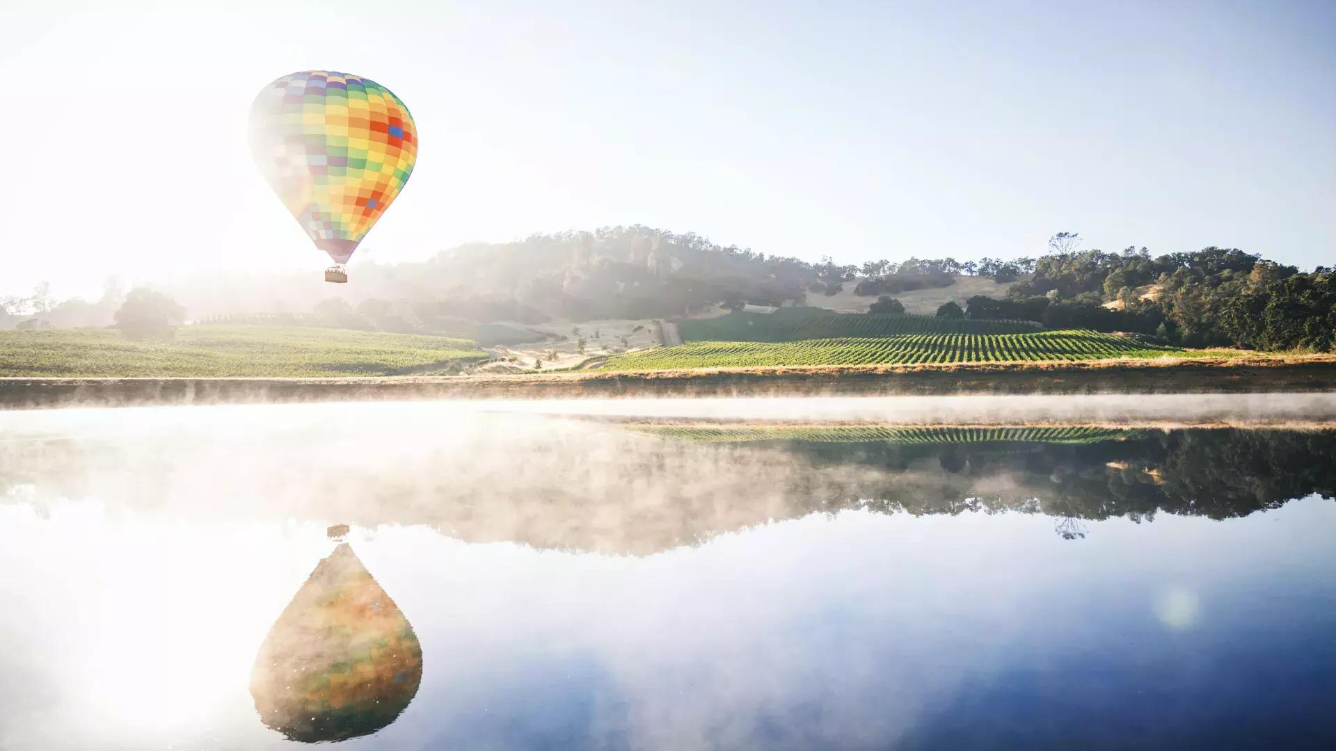 Heißluftballon schwebt über einem Weinberg.