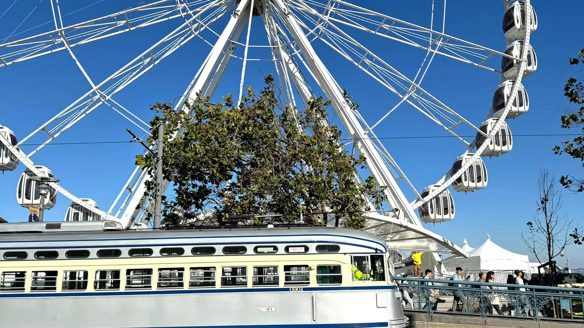 The SkyStar Wheel at Fisherman's Wharf