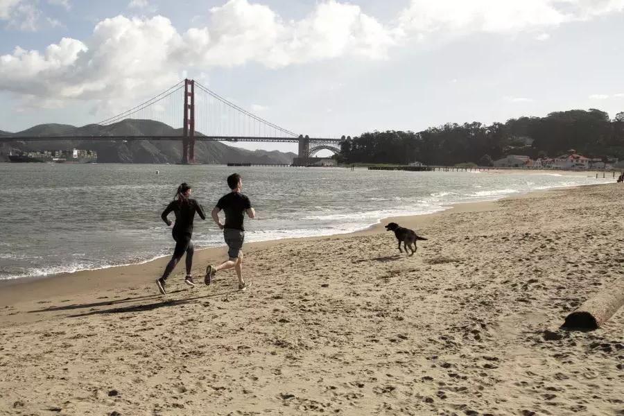 Couple with a dog running on Crissy Field
