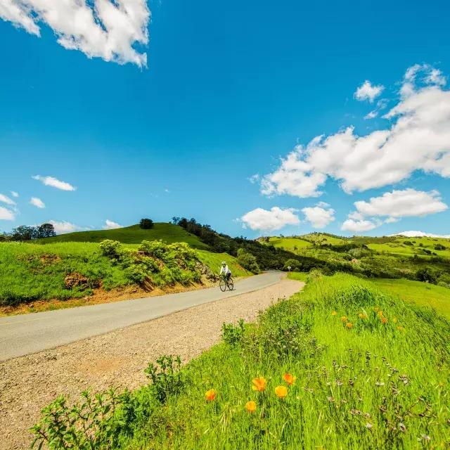 Biking in Concord, CA